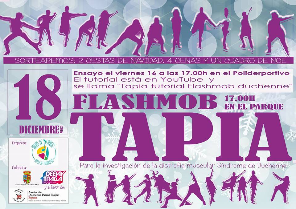 Cartel Flashmob Diciembre 2016