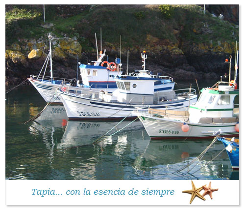 Barcos en el Puerto de Tapia